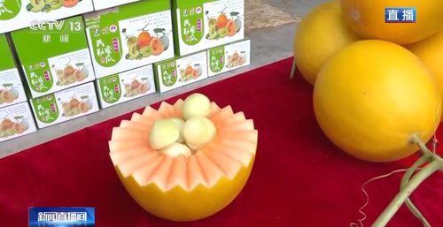 民勤蜜瓜免费吃吗,畅享甜蜜滋味！